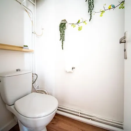 Apartmán Le Saint-pierre - *
